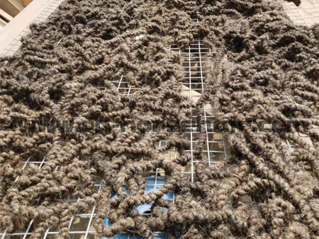 卷马毛填充物